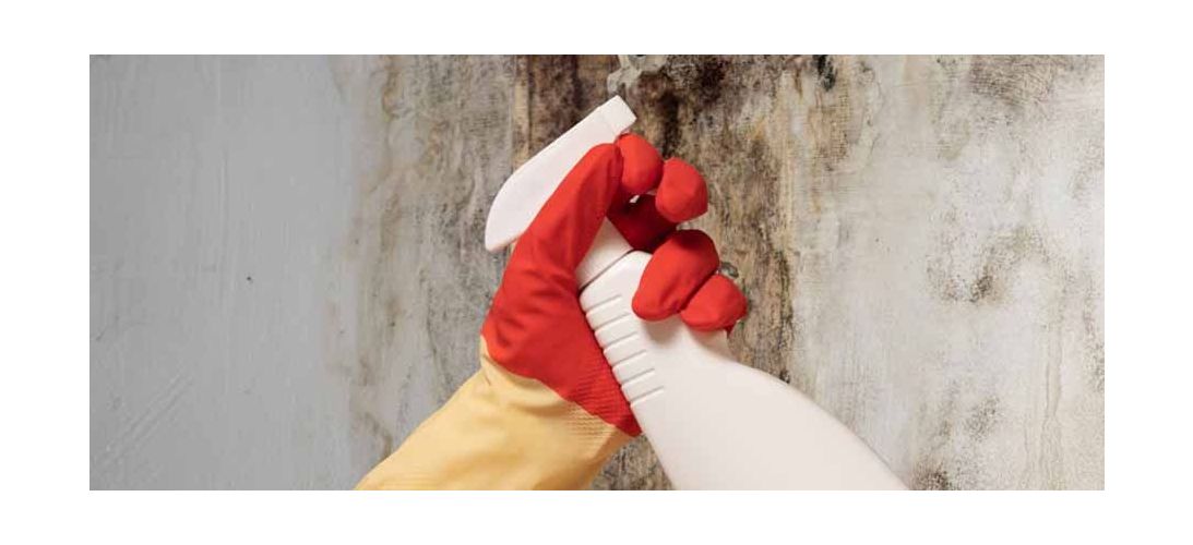 Buđ na zidu - odstranjivanje