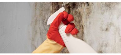 Buđ na zidu - odstranjivanje