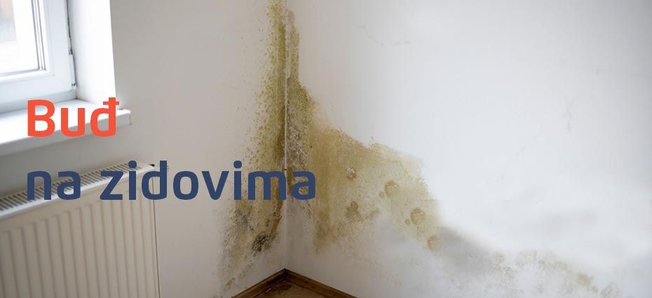 Buđ na zidu - odstranjivanje