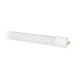 LED cev 18W T8 G13 120cm 6500K