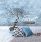 MaxiDECOR VELVET nijansa VE-S354 1 lit