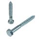 Salonit vijak 500/571 10x180 metal