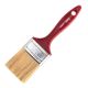 Univerzalna Expert četka 2,5 inča