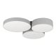 BARBANO-Z Plafonjera 900855