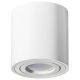 Plafonska spot lampa valjak GU10 84mm bela IP20