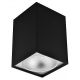 Plafonska lampa kocka GU10 140 mm crna srebrna IP20