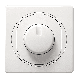 Elektronski regulator za LED PRESTIGE 0-100 W Aling Conel