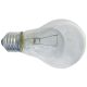 Vagonska sijalica 60W E27 24V A60 bistra
