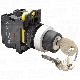 Trostepena sklopka sa kljucem 5A 230V IP42