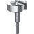 Einhell 49706455 Speed čeona burgija za drvo 55, 10mm, Forstner, DIN 7483 G, Expert