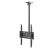 Plafonski nosač za TV 23-60 col, do 40 kg, Xstand
