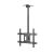 Plafonski nosač za TV 37-75 col, do 55 kg, Xstand