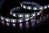 LED traka 5050 60LEDm 3m 6500K IP65
