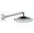 TUŠ RUŽA RAINDANCE SELECT S 240 Hansgrohe 26466000