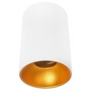 Plafonska lampa valjak GU10 140mm bela zlatna