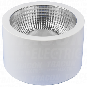 Zidna okrugla LED svet. sa reg . temperature boje230V.18W.300