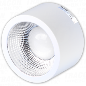 Zidna okrugla LED svet. sa reg . temperature boje230V.25W.300