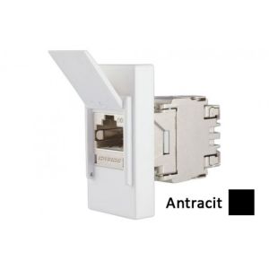 INTERIO Antracit priklj. RJ45 ravna CAT5e STP 1M