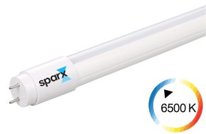 LED cev T8 10W 6500K 60cm G13