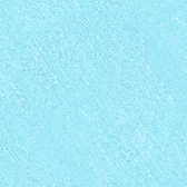 SH S491