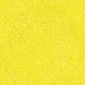 SH S590