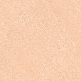 SH S863